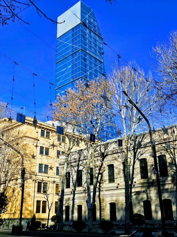 20250113_135609-EFFECTS